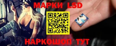 шишки Усть-Джегута