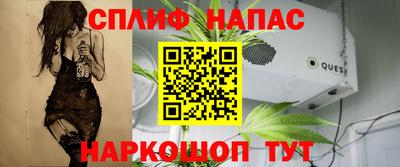 шишки Усть-Джегута
