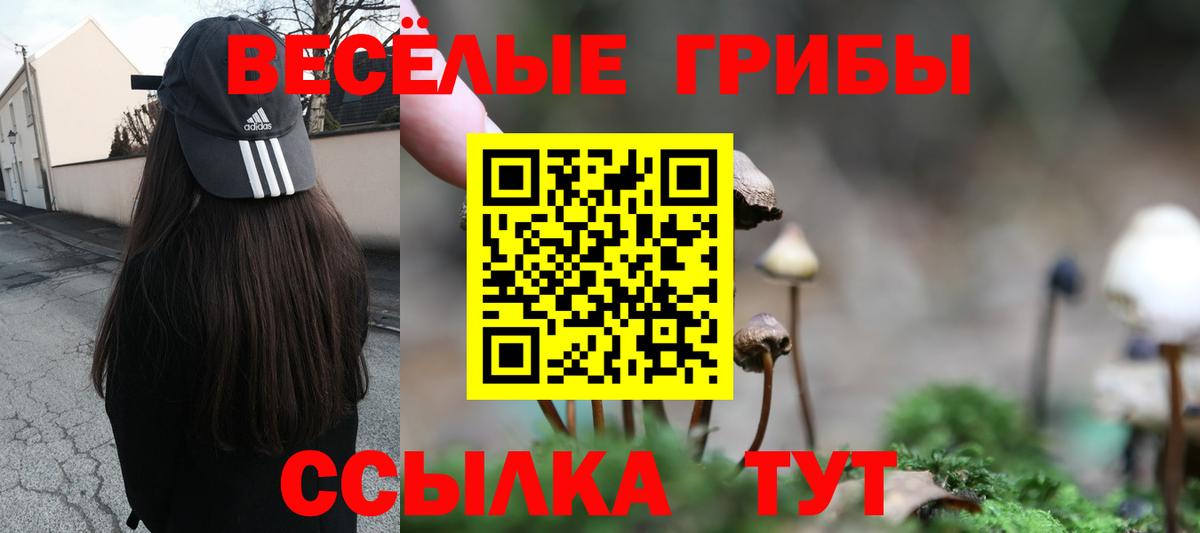 Белебей  Псилоцибиновые грибы MAGIC MUSHROOMS  Вход с VPN 